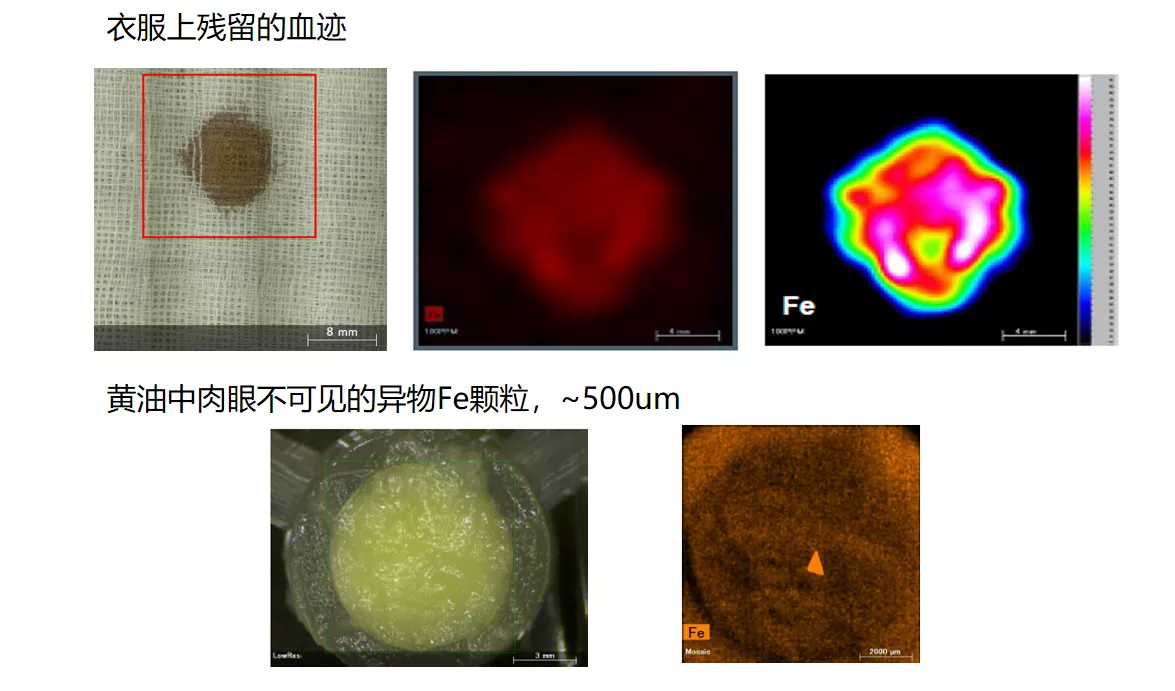 衣服残留物以及食物中异物的判断和鉴别